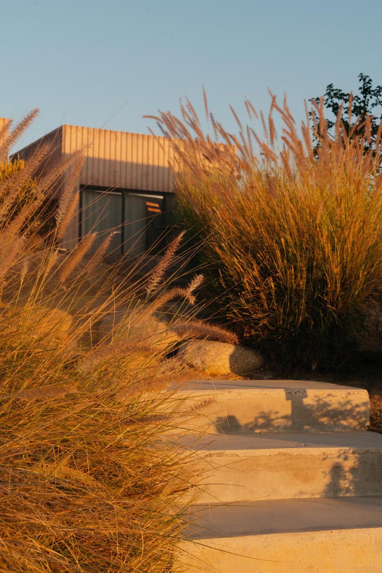 Casa Santos Hotel Todos Santos Kültér fotó